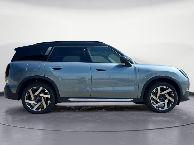 MINI - Countryman D