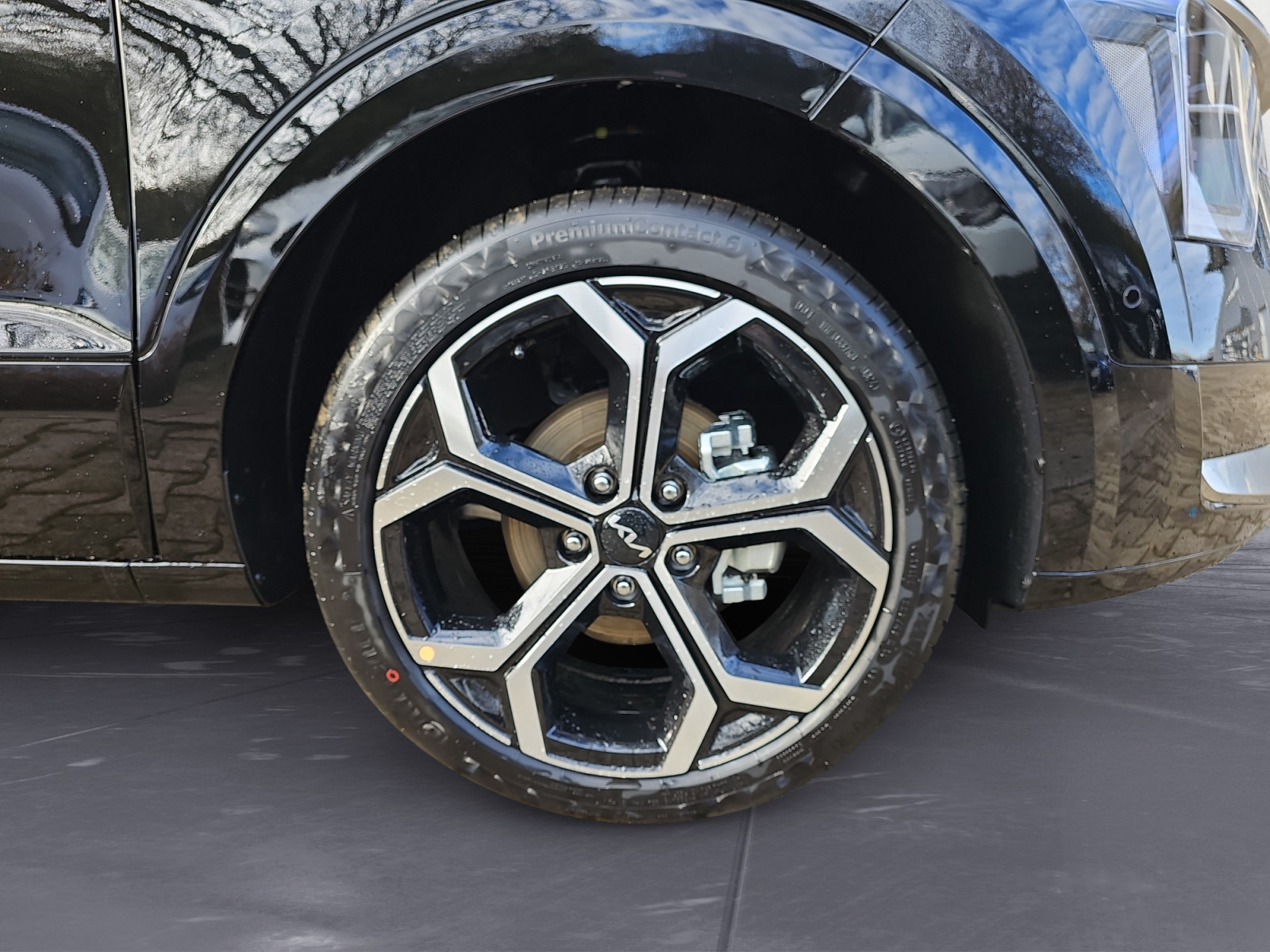 Kia - Niro 1.6 HEV DCT Spirit 18`