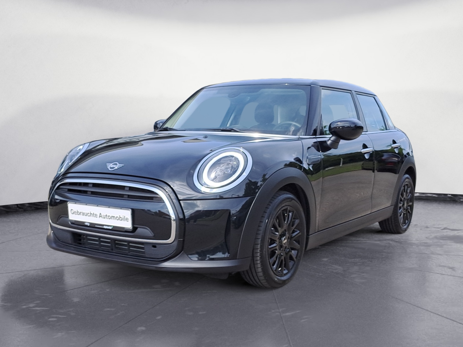 MINI - One Essential Trim Blackyard
